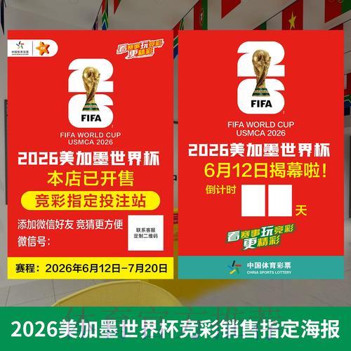 2026世界杯投注专家意见解析 2026世界杯投注专家意见解析